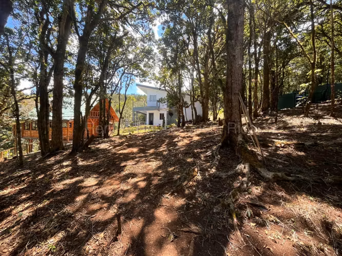 Quinta en Venta Dota Jardin San Jose - Imagen 17