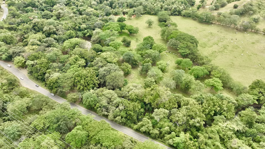 Precio Reducido | Lote para Desarrollo con 15 Disponibilidades de Agua en Artola - Imagen 4