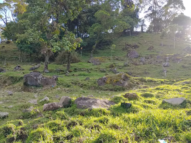 Venta o Cambio Terreno de 23.000 m² en Cartago — (turístico, industrial o residencial)