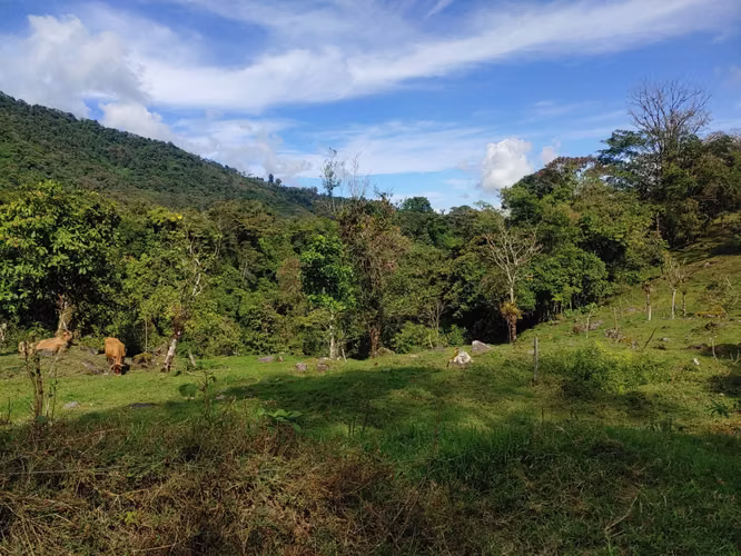 Venta o Cambio Terreno de 23.000 m² en Cartago — (turístico, industrial o residencial)