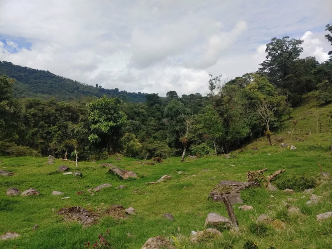Venta o Cambio Terreno de 23.000 m² en Cartago — (turístico, industrial o residencial)