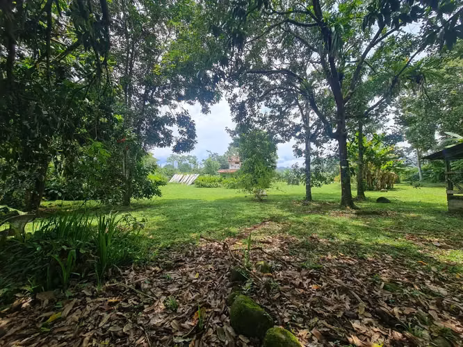 Finca en venta en San Ramón - Imagen 5