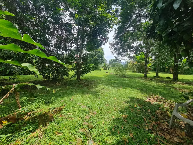 Finca en venta en San Ramón - Imagen 6