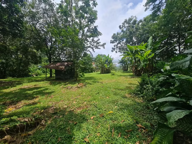 Finca en venta en San Ramón - Imagen 3