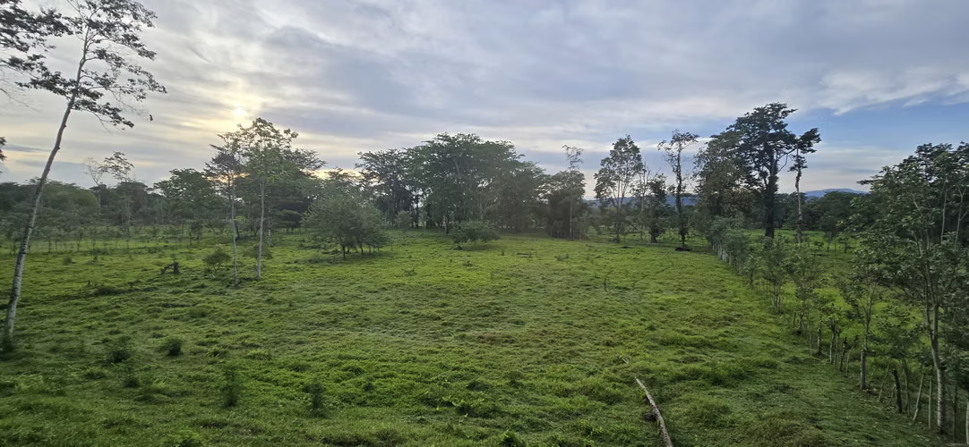 Oportunidad Finca Grande - Imagen 19