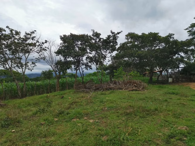 Farm for sale in Esparza just 5 minutes from the Center.