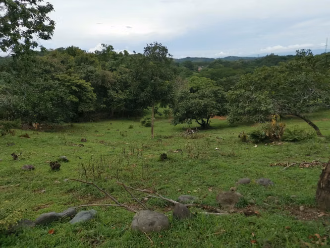 Venta de Finca en Esparza a solo 5 minutos del Centro. - Imagen 8