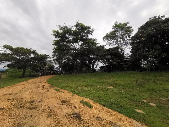 Venta de Finca en Esparza a solo 5 minutos del Centro. - Imagen 7