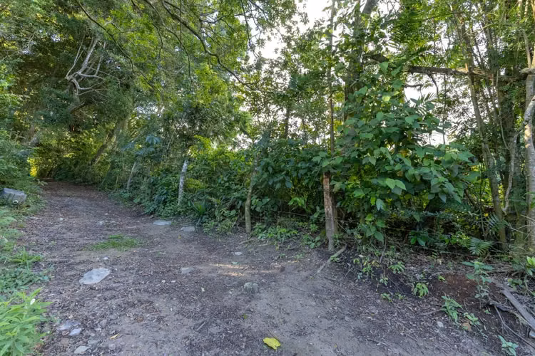 OPORTUNIDAD!! VENDO TERRENO EN MONTEVERDE 9820 M2 - Imagen 3