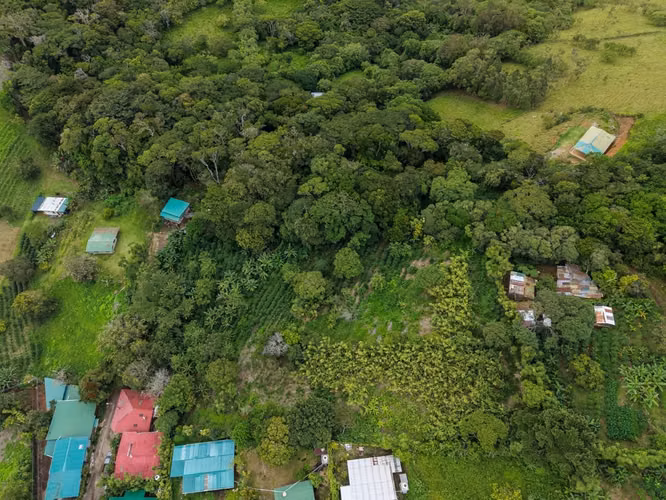 OPORTUNIDAD!! VENDO TERRENO EN MONTEVERDE 9820 M2 - Imagen 20