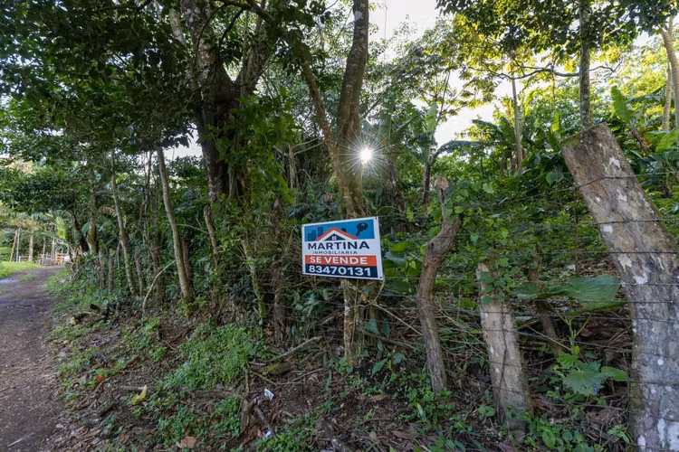 OPORTUNIDAD!! VENDO TERRENO EN MONTEVERDE 9820 M2 - Imagen 12