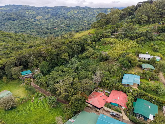 OPORTUNIDAD!! VENDO TERRENO EN MONTEVERDE 9820 M2 - Imagen 8