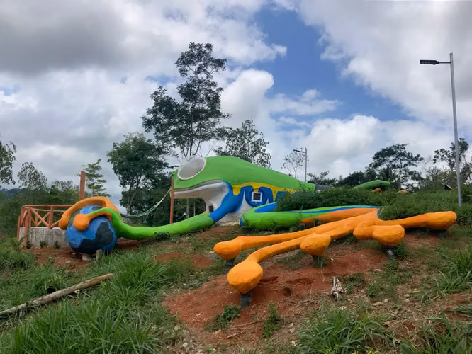 Casa de diseño de rana - Imagen 6