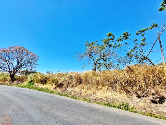 Lote de 4,328 m² plano para desarrollar en Santa Ana | La Caraña, Piedades - Imagen 7