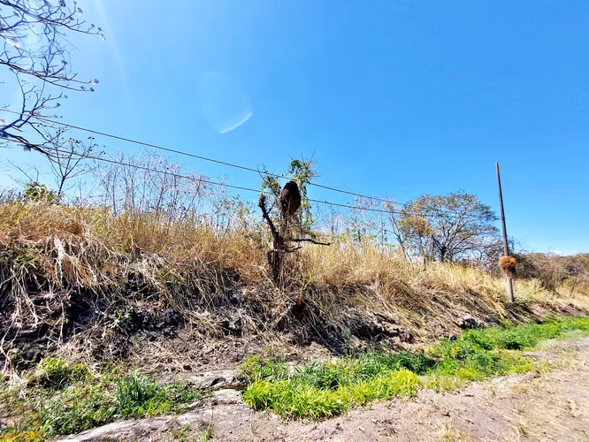 Lote de 4,328 m² plano para desarrollar en Santa Ana | La Caraña, Piedades - Imagen 19