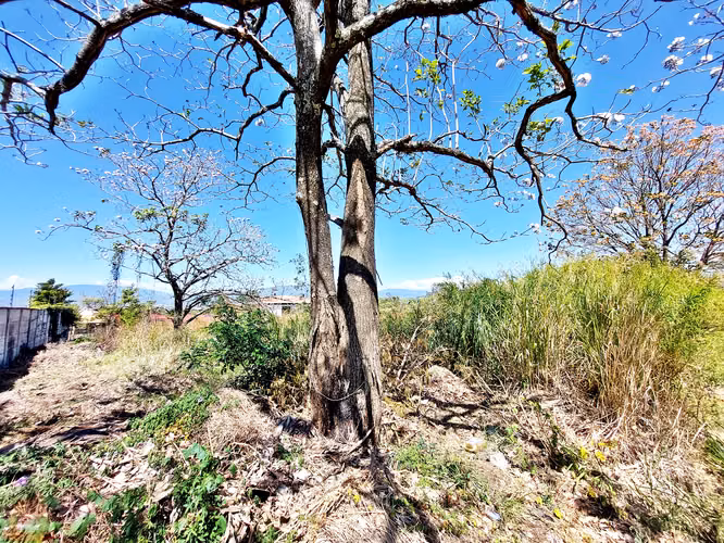 Lote de 4,328 m² plano para desarrollar en Santa Ana | La Caraña, Piedades - Imagen 5