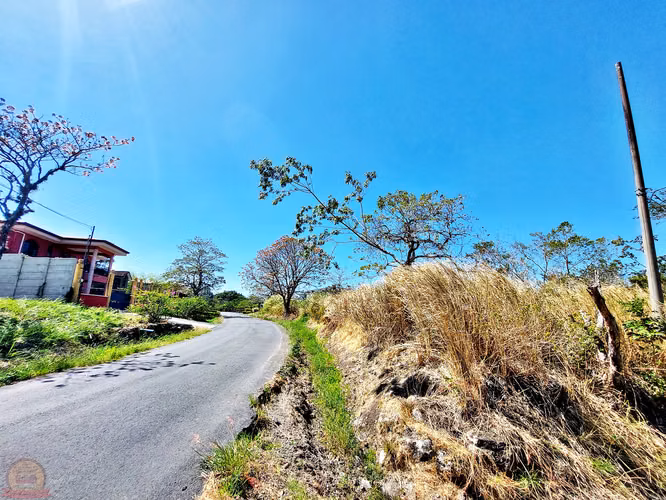 Lote de 4,328 m² plano para desarrollar en Santa Ana | La Caraña, Piedades - Imagen 11