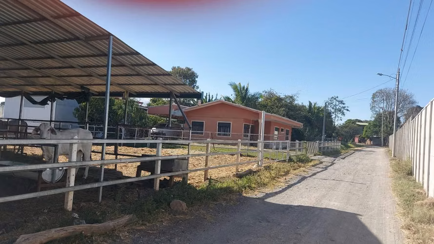 Venta de 3 casas + caballerizas + picadero + bodegas + 2 pozos - Imagen 4