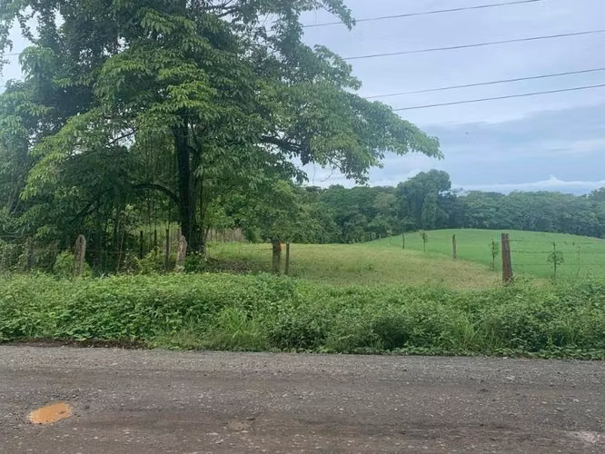 Lote en Venta – en La Ceiba de Orotina, Alajuela - Imagen 5