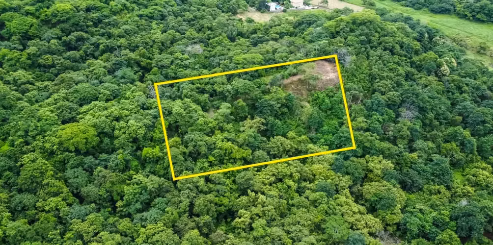Large lot with privacy and ocean views - Imagen 2