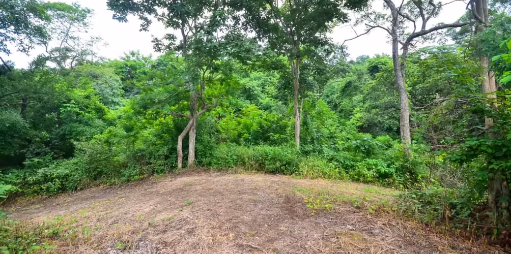 Large lot with privacy and ocean views - Imagen 3