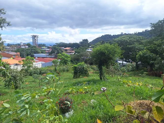 Lote mixto 3.000 m² en Tirrases - Imagen 9