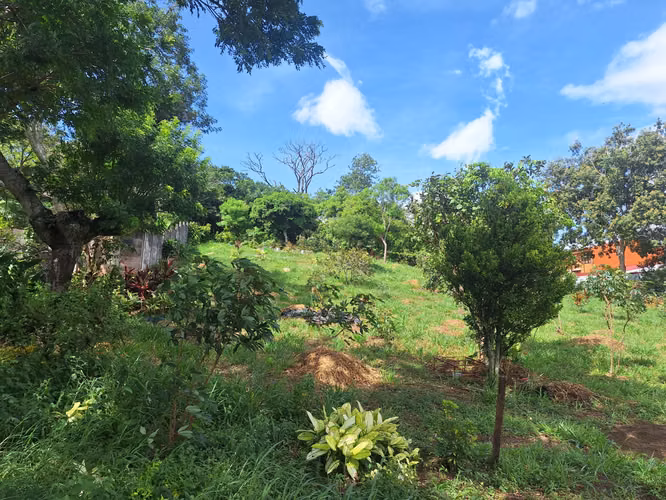 Lote mixto 3.000 m² en Tirrases - Imagen 3