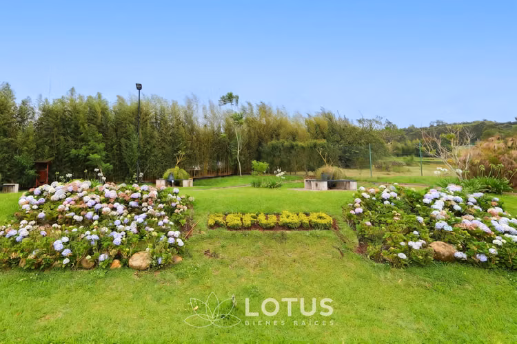 Lotes en Venta en Condominio El Refugio, Oreamuno de Cartago, Cód. AJ002 - Imagen 6