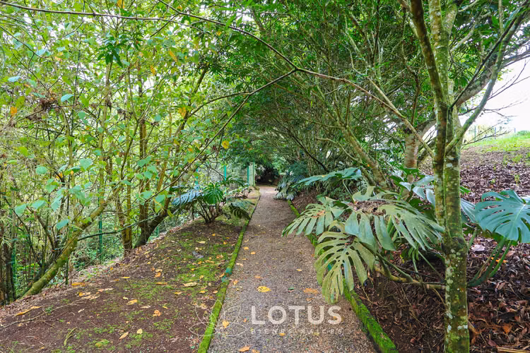 Lotes en Venta en Condominio El Refugio, Oreamuno de Cartago, Cód. AJ002 - Imagen 13