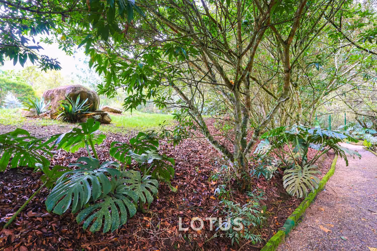 Lotes en Venta en Condominio El Refugio, Oreamuno de Cartago, Cód. AJ002 - Imagen 12