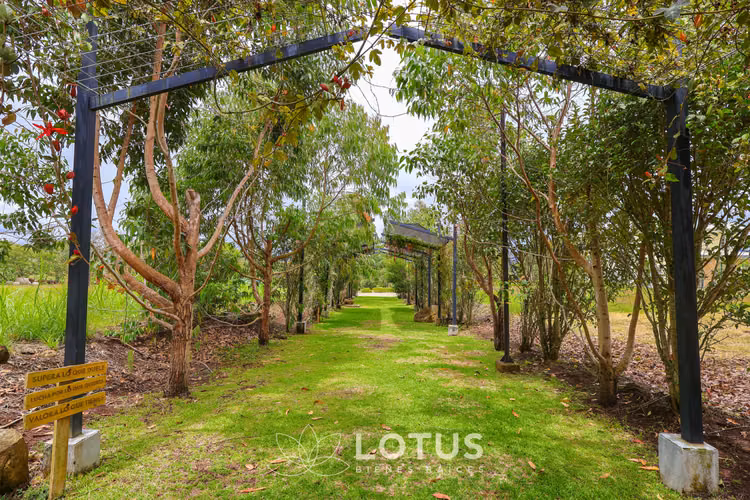 Lotes en Venta en Condominio El Refugio, Oreamuno de Cartago, Cód. AJ002 - Imagen 7