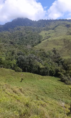 Reserva forestal en venta en Buenos Aires, Puntarenas. JP, ID 26994 - Imagen 6