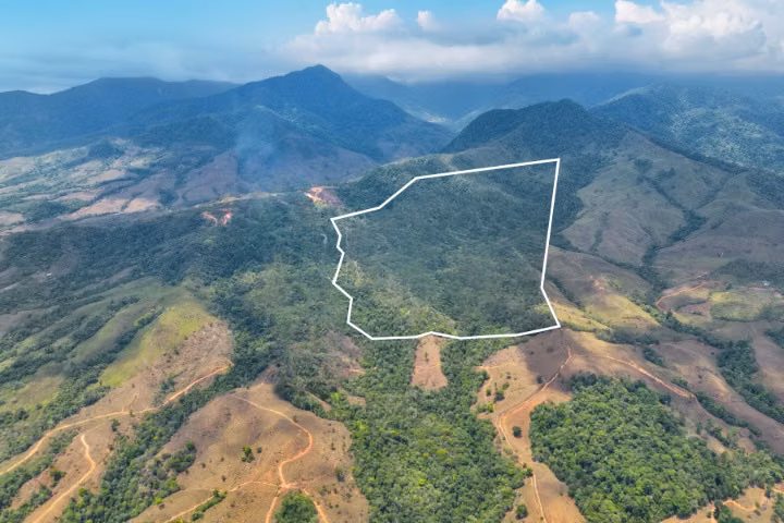 Reserva forestal en venta en Buenos Aires, Puntarenas. JP, ID 26994 - Imagen 4