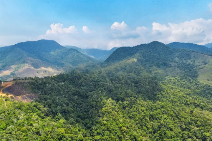 Reserva forestal en venta en Buenos Aires, Puntarenas. JP, ID 26994 - Imagen 2