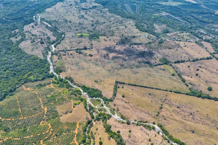 Reserva forestal en venta en Buenos Aires, Puntarenas. JP, ID 26994