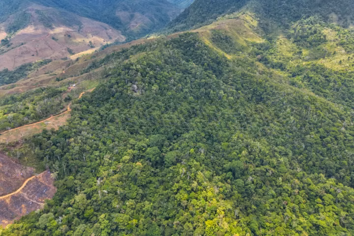 Reserva forestal en venta en Buenos Aires, Puntarenas. JP, ID 26994 - Imagen 3