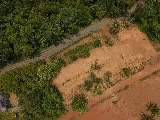 Lote Exclusivo Cerca de Playa Bejuco - Imagen 4