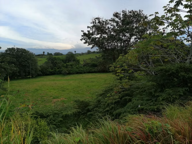 VENDO FINCA EN TURRUCARES - Imagen 9