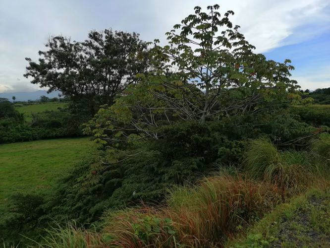 VENDO FINCA EN TURRUCARES - Imagen 8
