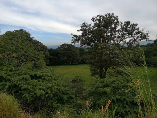 VENDO FINCA EN TURRUCARES - Imagen 5