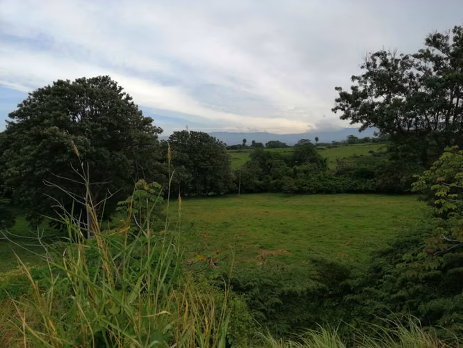 VENDO FINCA EN TURRUCARES - Imagen 4