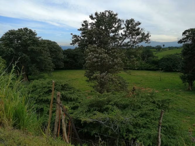 VENDO FINCA EN TURRUCARES - Imagen 11