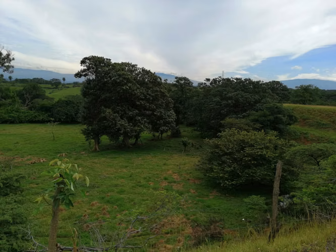 VENDO FINCA EN TURRUCARES - Imagen 7