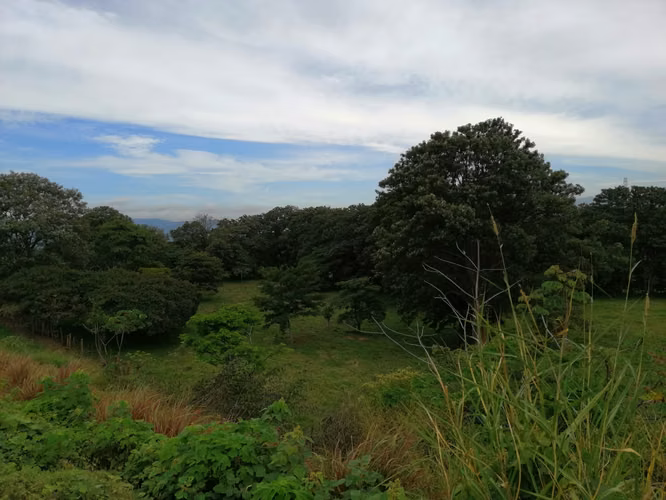 VENDO FINCA EN TURRUCARES - Imagen 2
