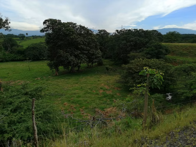 VENDO FINCA EN TURRUCARES - Imagen 10