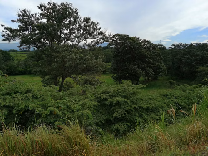 VENDO FINCA EN TURRUCARES - Imagen 6