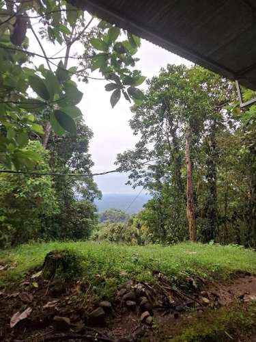 Finca de Selva Tropical en Costa Rica | 78.7 Ha de Retiro Ecológico y Propiedad de Aventura