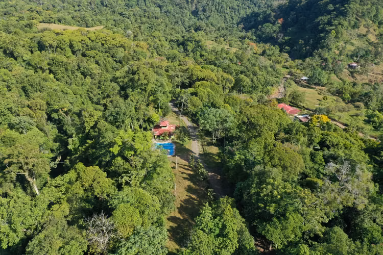 Costa Rica Rainforest Estate | 78.7 Ha Eco-Retreat & Adventure Property