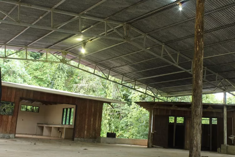 Finca de Selva Tropical en Costa Rica | 78.7 Ha de Retiro Ecológico y Propiedad de Aventura