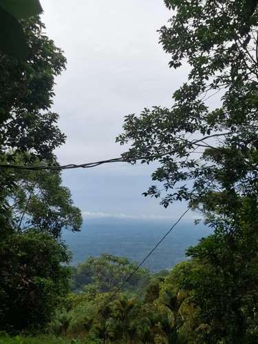 Finca de Selva Tropical en Costa Rica | 78.7 Ha de Retiro Ecológico y Propiedad de Aventura